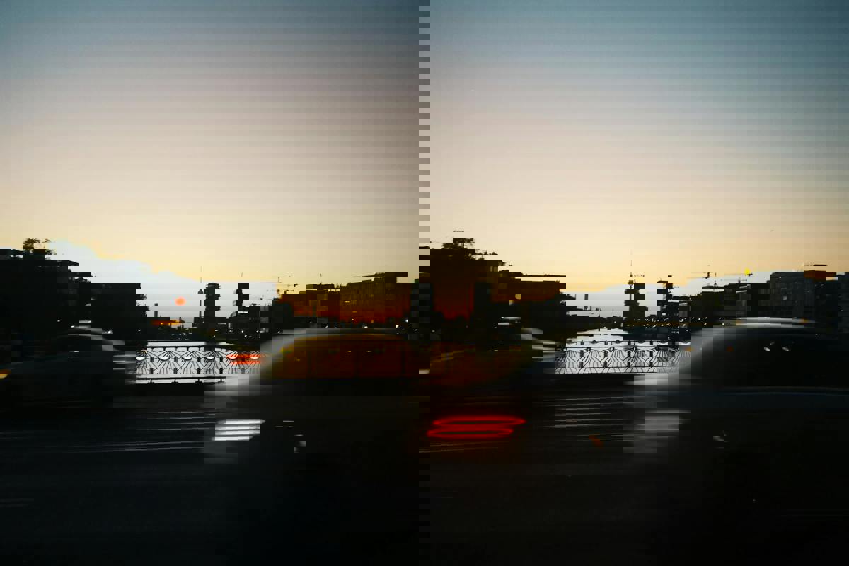 Temporary Wildlife Fencing Causes Traffic Snarls During Duck Migration